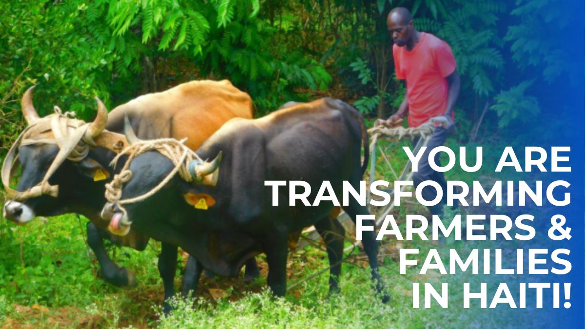 How Farming In Haiti Is Transforming Families’ Lives