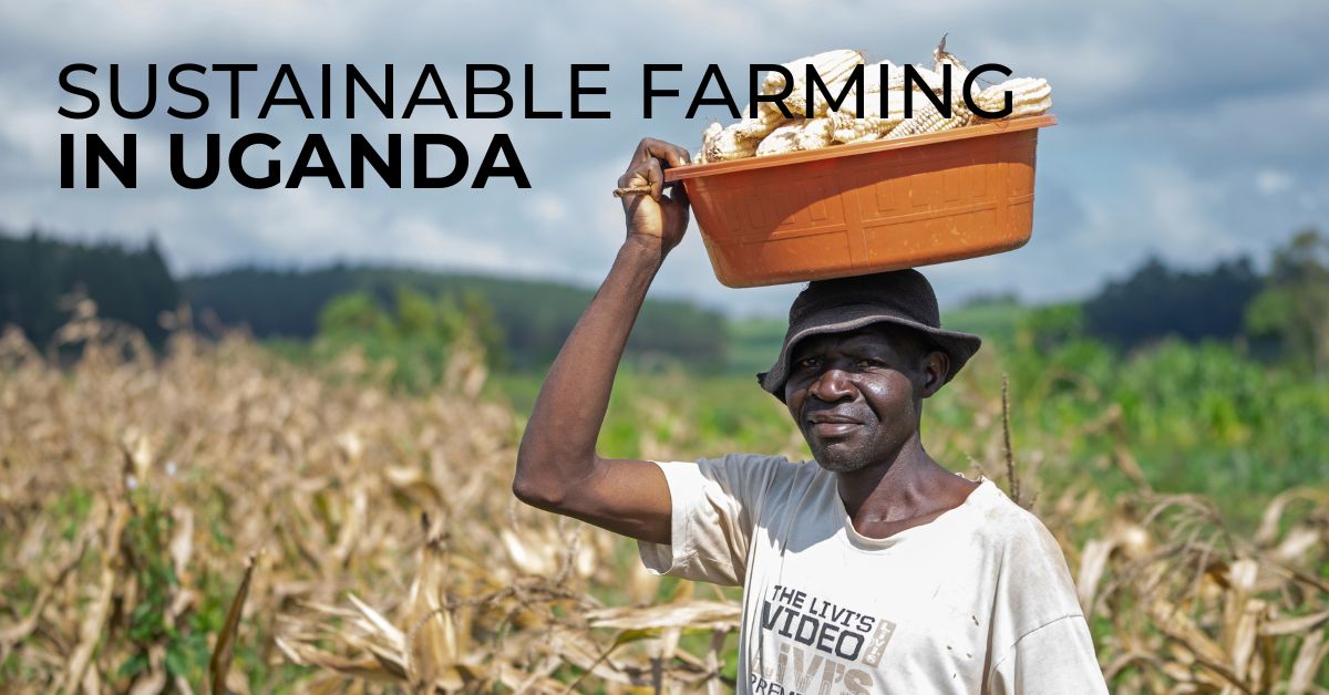 Sustainable Farming In Uganda • Bright Hope