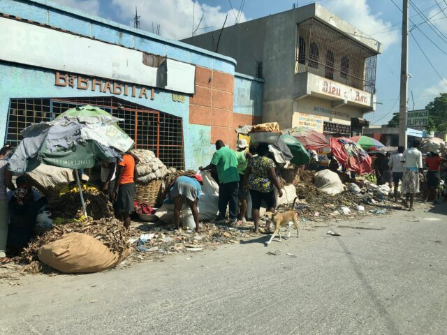 Seeking Peace and Security in Haiti Civil War • Bright Hope