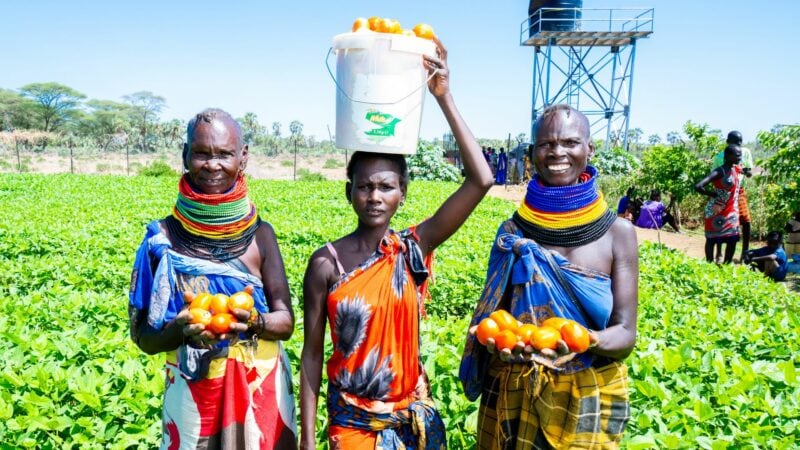 Sustainable farming Kenya