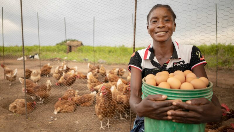 sustainable farming in Zambia