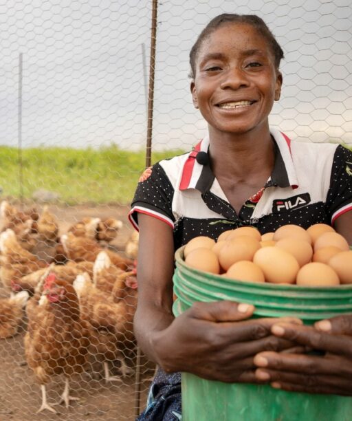 sustainable farming in Zambia