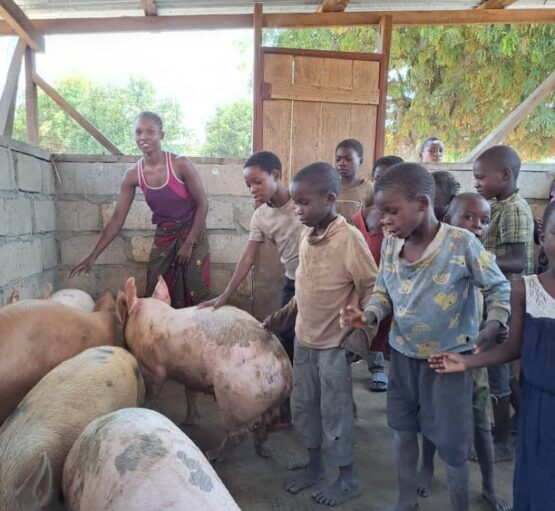 children with pigs